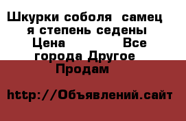 Шкурки соболя (самец) 1-я степень седены › Цена ­ 12 000 - Все города Другое » Продам   